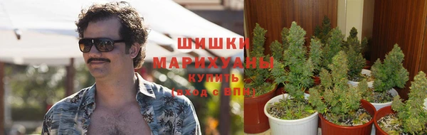 MDMA Богородицк