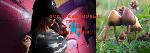 прущая мука Богданович
