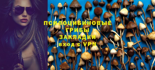 ешки Богородск