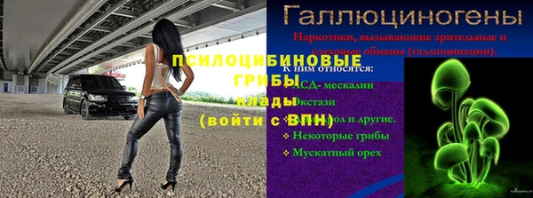 MDMA Богородицк